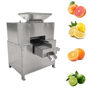 Endüstriyel teur cteur De Jus sıkacağı sıkacağı taze limon meyve suyu için büyük portakal suyu yapma makinesi sıkılmış - Product Image 2