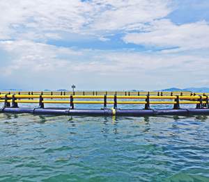 กรงเลี้ยงปลา HDPE ระดับเริ่มต้น ขนาด 38 เมตร ใช้งานได้ยาวนาน ดูแลรักษาง่าย - Product Image 4