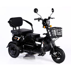 2023 Vente Chaude 600W 48V Vélo Électrique à 3 Roues, Tricycle Électrique Adulte Cargo Ebike Sans Panier - Product Image 5