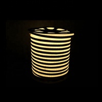 Bande lumineuse fluo led flexible, étanche IP65, 12V, 8x16MM, simple face, blanc chaud, 3000K, pour enseigne au néon