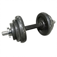 Boîte de rangement pour haltères en fonte pour entraînement de force, ensemble d'haltères durables peints en noir pour musculation et haltérophilie