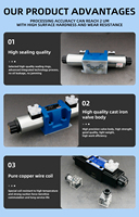 Vannes électro-hydrauliques 12 Vdc 24 V, électrovannes hydrauliques, distributeurs hydrauliques Rexroth