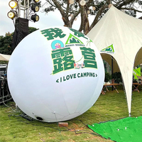 Logo personnalisé, ballon de plage géant en PVC, jeu de plein air, balles colorées peintes par pulvérisation, décoration de scène, ballons gonflables
