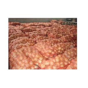 Vente en gros d'ail blanc biologique d'exportation d'oignons rouges frais de Chine et d'oignons frais Fournisseur d'oignons biologiques de Shandong - Product Image 6