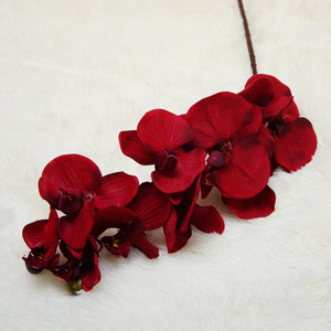 Orchidées Phalaenopsis en soie Haiyi, 10 têtes, style rétro réaliste, pour la décoration de salon et de maison - Product Image 2