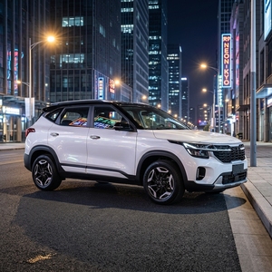 Auto Usado Económico, Seltos Modelo 2023, <span class=keywords><strong>SUV</strong></span> Compacto de 5 Puertas y 5 Asientos, Bajo Kilometraje, Buen Rendimiento de Combustible - Product Image 4