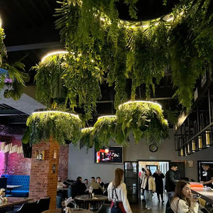 Top Notch Nature Style Plante Verte Artificielle Halo LC60150-1800 LED Anneau Circulaire Lumière pour Salon - Product Image 2