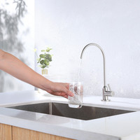 Robinet d'eau RO à poignée unique en acier inoxydable 304 de haute qualité certifié NSF, finition or brossé, pour évier de cuisine, sans plomb, céramique moderne