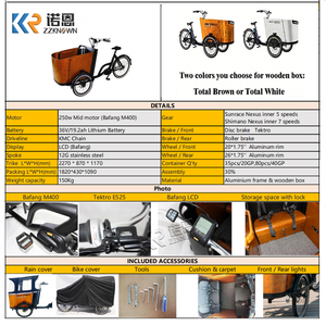 Triciclo Eléctrico Familiar con Caja de Pasajeros de Madera, Motor de 250W de Tracción Media, Transporte Seguro para Niños, para Desplazamientos Urbanos en Europa - Product Image 3