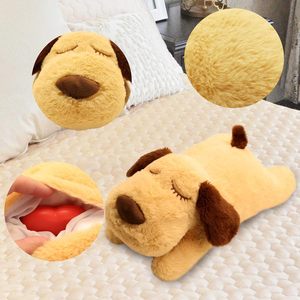 Cute Dog Heartbeat Soft <b>Plush</b> Squeaky Toy for Separation Anxiety Relief and Calming Aid <b>Cat</b> Teaser - Product Image 2