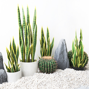 Planta de Serpiente Artificial, <span class=keywords><strong>Sansevieria</strong></span> Falsa de 35-80 cm, Ecológica, Resistente a los Rayos UV, para Bodas y Navidad, Hoja de Plástico Amarilla y Verde, Realista - Product Image 4