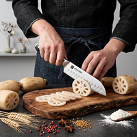 Juego de Cuchillos de Cocina Profesionales de 6 Piezas, Acero Alemán X50CrMoV15, Cuchillos de Acero Inoxidable con Mangos Ergonómicos de Pakkawood para OEM