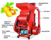 Machine à décortiquer et à écaler les cacahuètes à usage domestique haute efficacité 220V/380V Capacité 800-1000kg/h Garantie 1 an