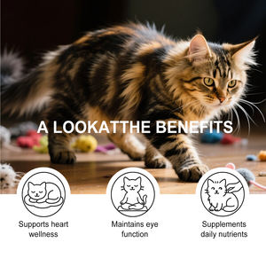 <span class=keywords><strong>Poudre</strong></span> de Taurine pour Chats 200g Enzymes Digestives Soins Cardiaques et Immunitaires Acides Aminés Marque Privée Fabricant Direct Usine Vrac OEM - Product Image 4