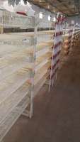 Durable et confortable pour la cage d'élevage de cailles/cage de ponte de cailles HJ-QC400B utiles