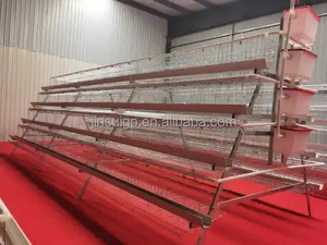 Cage à poules pondeuses de type A, 3 étages, 4 niveaux, galvanisée, pour élevage de poulets - Product Image 3