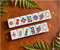 Braunes Safari-Tier-Motiv Amerikanisches Acryl Modernes Mahjong-Set Giraffe Elefant Zebra Schlange Blumen Laternen-Druck Tragbar