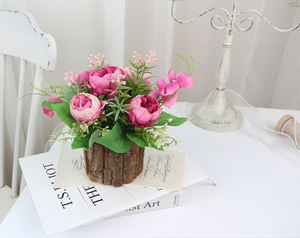 Nouvelle Tendance : Plante Artificielle en Pot pour Décoration de Fêtes, Mariages et Intérieur - Plantes Séchées - Product Image 6