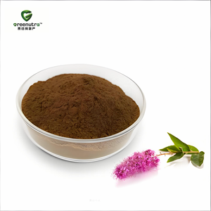 Extrait de Spiraea Ulmaria, <span class=keywords><strong>acide</strong></span> <span class=keywords><strong>salicylique</strong></span> à 5 %, <span class=keywords><strong>poudre</strong></span> composée naturelle pour complément alimentaire en capsules - Product Image 3