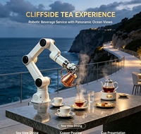 Bras robotique collaboratif à 6 axes Cobot pour la station de café et de thé, solution robotique de manutention et de placement automatique de tasses