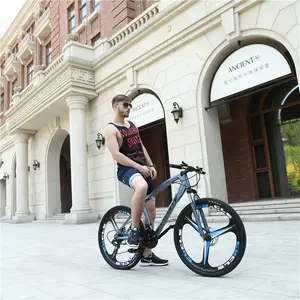 10 speed 52 full bike totem disc brake hybrid alu gravel folding bike Frame foldingl Bike