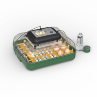 Incubateur d'œufs de poule et couveuse de 30 capacités Petite machine à couver les œufs Incubateur d'œufs automatique