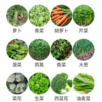 Semoir à légumes électrique ou manuel pour petites graines, prix d'usine, vente directe