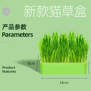 Friandises pour chats, plantes en pot transparentes pour chats, herbe hydroponique pour chats, plantes vertes d'intérieur faites maison, graines de blé prêtes à consommer, chaton - Product Image 3