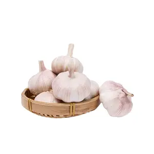 Hot sale china fresh garlic normal white for sale with cheap price in china