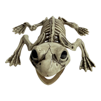 Décoration de squelette de grenouille réaliste effet vieilli, figurine d'os d'amphibiens pour exposition de diorama sur le thème des marais, cimetière, pelouse, Halloween