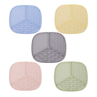 Tapis anti-glouton en silicone pour chien, gamelle dissimulée pour chat, assiette anti-fuite pour chien, fournitures pour animaux de compagnie, non importé de Chine