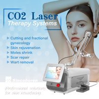 Machine laser CO2 fractionnée portable de bureau la plus vendue, Q-Switch, écran LCD 12,1 pouces, pour la chirurgie commerciale, l'élimination des cicatrices et le soin de la peau