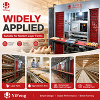 Cage à poulets de type H de haut niveau, équipement avicole automatique, système d'alimentation, système de collecte des œufs, système d'élimination du fumier