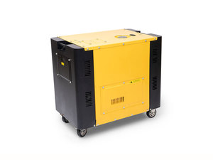 Generador diésel de tipo silencioso personalizable del fabricante Tpoor modelo básico 50/60Hz 220/380V 3000/3600rpm monofásico 220V - Product Image 2
