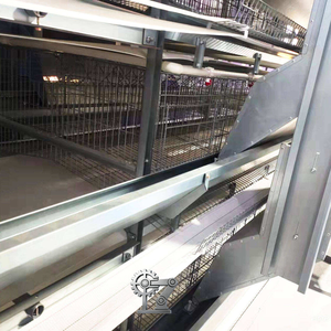 Sistema de Jaulas Automáticas Tipo H para Gallinas Ponedoras 2026, Acero Galvanizado en Caliente, Naves Avícolas de Alta Calidad y Económicas para Producción de Huevos - Product Image 5