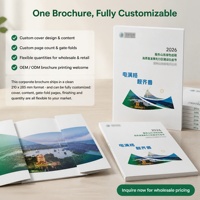 Service d'impression de brochures d'entreprise 210x285mm Papier couché 250g/m² Dorure à chaud Pliage en accordéon