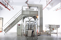 Machine d'emballage automatique à tête unique avec peseuse linéaire de haute précision, remplissage pneumatique et étiquetage pour sachets/aliments sous film