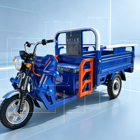 Kart électrique tout-terrain 750W 48V pour adultes avec batterie 20Ah, moteur BLDC, transmission par arbre, buggy des dunes, utilisation en extérieur, 70 km/h, charge 200 kg