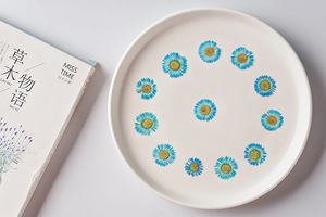 Marcapáginas hechas a mano de flores prensadas, plantas naturales respetuosas con el medio ambiente - Product Image 4