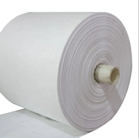 Rouleau de sac tissé en PP du fabricant Rouleau de bâche en plastique bonne flexibilité Rouleaux de tissu tissé en PP