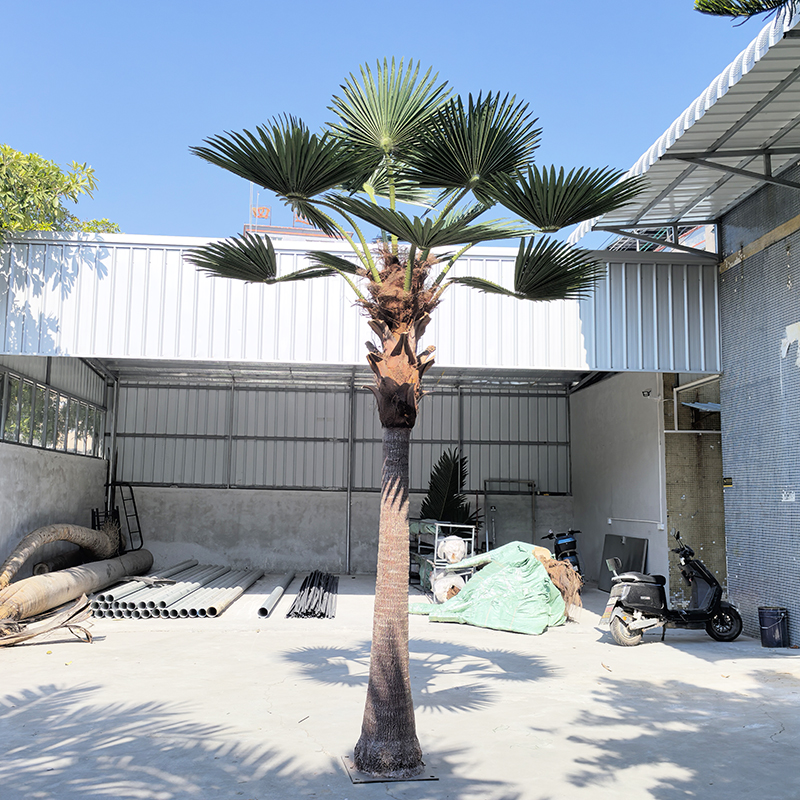 palm tree3