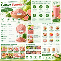 Puur natuurlijk wateroplosbaar gesproeid en gevriesdroogd roze guavapoeder, wateroplosbaar fruitpoeder voor bakkerijen en voedselverwerking