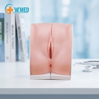 Formation en examen gynécologique privé et orientation contraceptive pour les soins des femmes (CE/ISO)