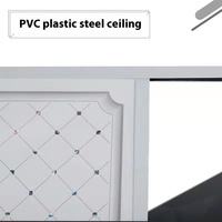 Paneles de Techo de PVC Modernos, Impermeables e Ignífugos con Soporte de Rejilla de Acero para Uso Comercial y Residencial en Baños y Gimnasios