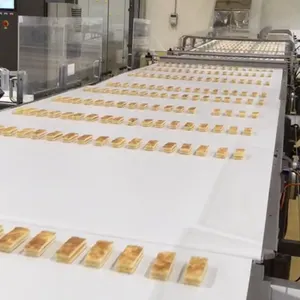 सबसे बड़ा मॉडल 500kg गर्म केक मशीन केक ओवन मशीन बेकरी केक मशीन उत्पादन लाइन
