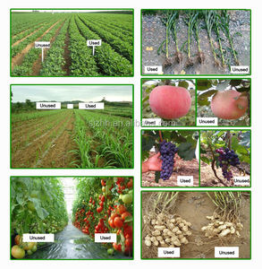 <span class=keywords><strong>ราคา</strong></span>ส่งปุ๋ยอินทรีย์เม็ด <span class=keywords><strong>ปุ๋ย</strong></span>อินทรีย์จากมูล<span class=keywords><strong>ไก่</strong></span> <span class=keywords><strong>ปุ๋ย</strong></span>อินทรีย์ NPK - Product Image 6