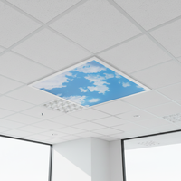 Plafonniers LED plats 2x4, ciel bleu nuageux, technologie avancée, bureau, panneau LED carré, dimmable, CRI élevé 82+, 120