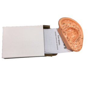 Modelo de Acupuntura de Oído Humano Más Vendido (13 cm) para Exhibición de Puntos de Acupuntura y Enseñanza de Práctica - Product Image 5