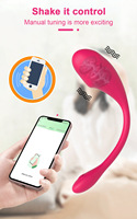 App-gesteuertes Liebeskugel-Vibrator mit Fernbedienung, Kegel-Ball, G-Punkt-Stimulator und tragbarem Klitoris-Vibrator für Frauen