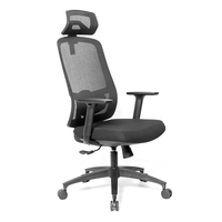Chaise de bureau exécutive ergonomique réglable en maille respirante avec soutien lombaire en tissu, confortable pour les longues heures, idéale pour les conférences et les écoles